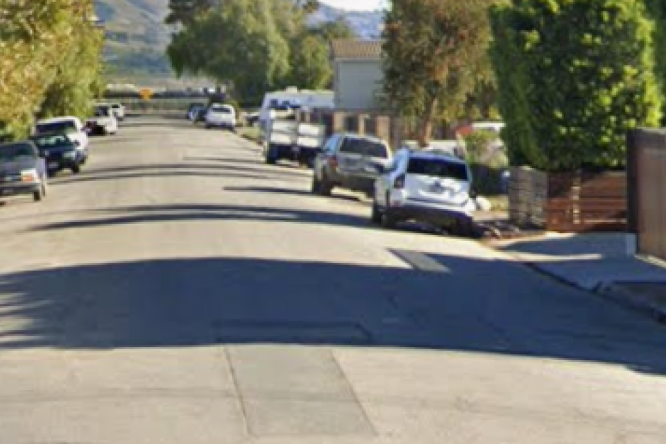 Street lined with parked cars and trees, blue recycling bin by the curb.
