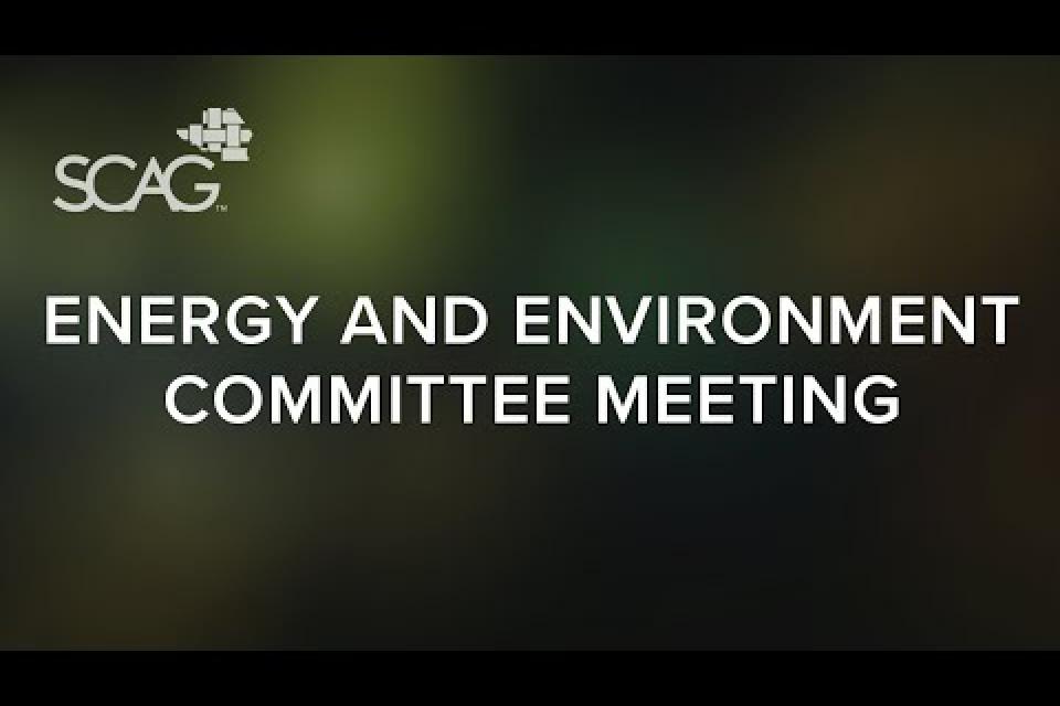 Energy and Environment Committee (EEC) Meeting