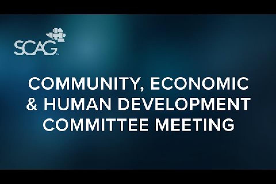 Community, Economic and Human Development Committee (CEHD) Meeting