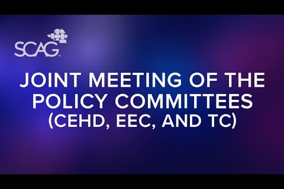 Joint Meeting of the Policy Committees (CEHD, EEC, and TC) 