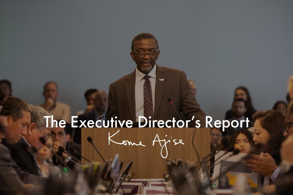 The Executive Director's Report Image