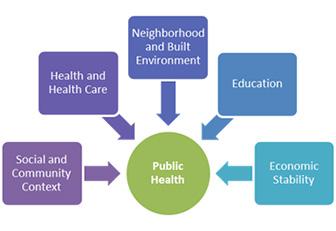 Image: Public Health