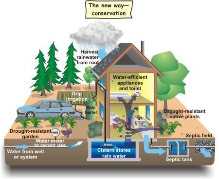 Water conservation  infographic